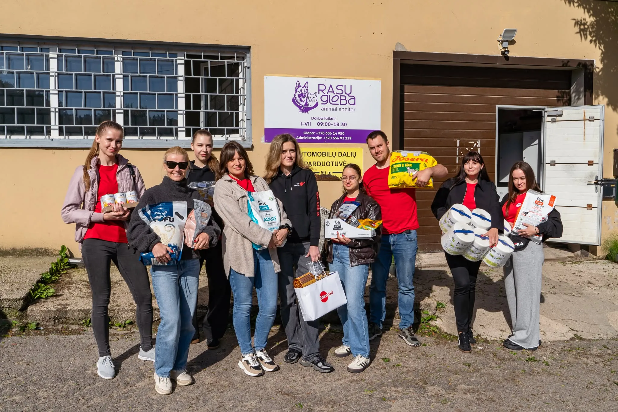 Helping dog shelter